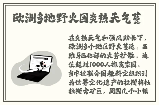 日产精品卡2卡三卡4蘑菇